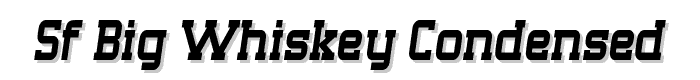 SF Big Whiskey Condensed font